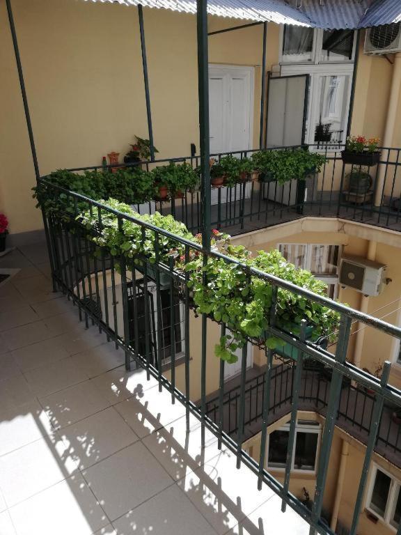 Oaza 26 Deo 2 Apartment Белград Екстериор снимка