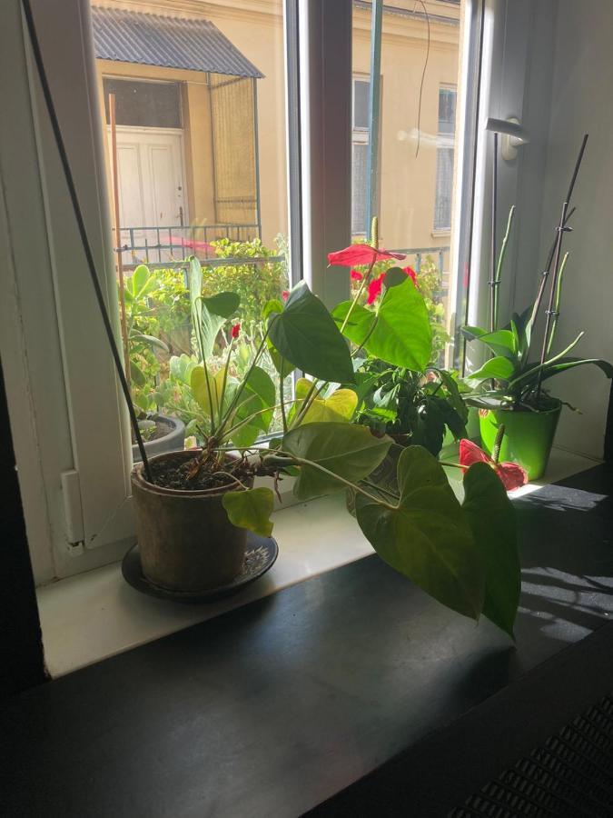 Oaza 26 Deo 2 Apartment Белград Екстериор снимка